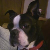 Henry Tucker Photo 12