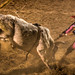 Stace Larson Photo 7