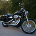 Harley Webster Photo 7