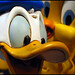 Donald Looney Photo 13