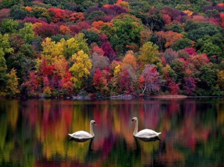 Kelly Jackson Photo 16