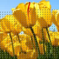 Kirti Yadav Photo 10