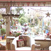 Anita Sommers Photo 5