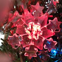 Carol Dewitt Photo 22