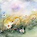 Art Flores Photo 16