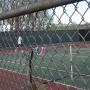 David An Photo 17