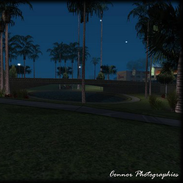 Charles Connor Photo 37