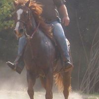 Jason Earnest Photo 13