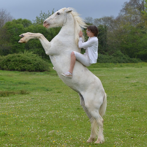 Sophie Bourdon Photo 5
