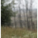 Marie Ann Photo 25