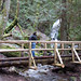 Amanda Bridge Photo 23