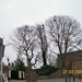 Mary Rooks Photo 10