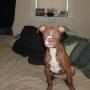 Kristy Simmons Photo 23