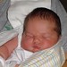 Ann Dickerson Photo 12