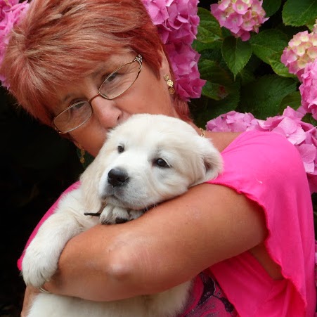 Jan Curtis Photo 10