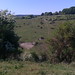 Catherine Downs Photo 23
