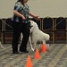 Linda Coburn Photo 21