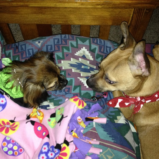 Nancy Lutz Photo 22