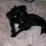 Brenda Fleming Photo 20