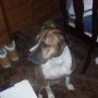 Walter Rice Photo 12