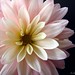 Kimberly Masters Photo 17