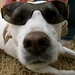 Lori Shade Photo 14