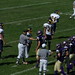 Christian Bradshaw Photo 21
