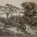 George Garman Photo 17