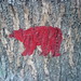 Mark Ours Photo 7