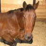 Ginger Ray Photo 29