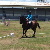 Sheree Ross Photo 16