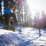 Jay Bonner Photo 16