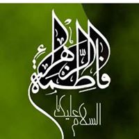Syeda Raza Photo 17