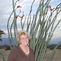 Alva Johnson Photo 17