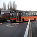 Dennis Stuart Photo 9