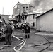 Warren Coe Photo 11