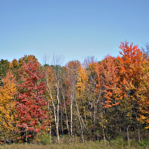 Glenda Rogers Photo 31