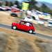 Shelby Morris Photo 16