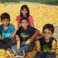 Syed Sajid Photo 25