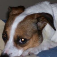 Janis Weeks Photo 3