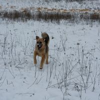 Cindy Brosig Photo 5