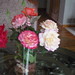 Kathy Workman Photo 17
