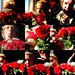 Tina Rose Photo 13