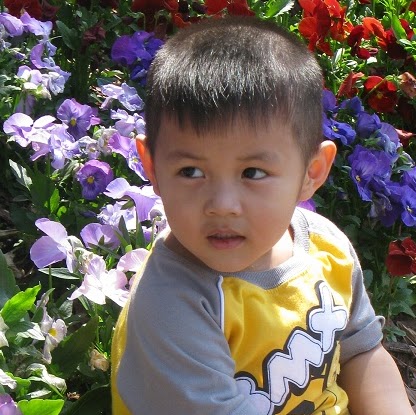Chi Trinh Photo 18