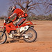Johnny Campbell Photo 16