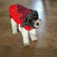 Maureen Brown Photo 17