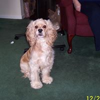 Ann Christian Photo 11