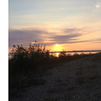 Sue Garrity Photo 21