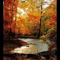 Betty Reece Photo 13