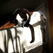 Lila Neely Photo 5
